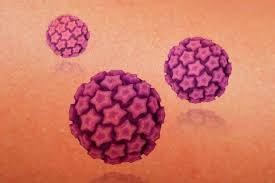 10 cosas que debes saber sobre el virus del papiloma humano (VPH).